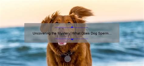 In the beginning, the <b>semen</b> is more watery, towards the middle of the ejaculation phase, it turns more. . What does dog sperm smell like